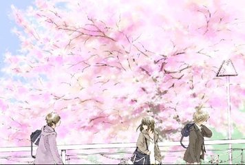 红桃视入口